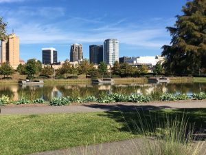 Birmingham Skyline from Railroad Park